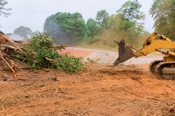 Ground Clearing in Frankfort