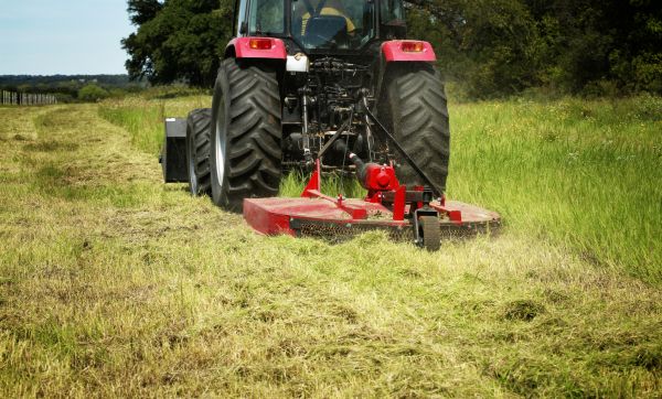 Brush Clearing Service in Frankfort