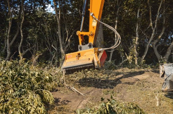 Brush Removal Service in Frankfort