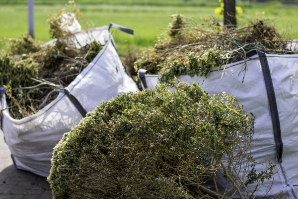 Cost of Bushes Clearing in Frankfort