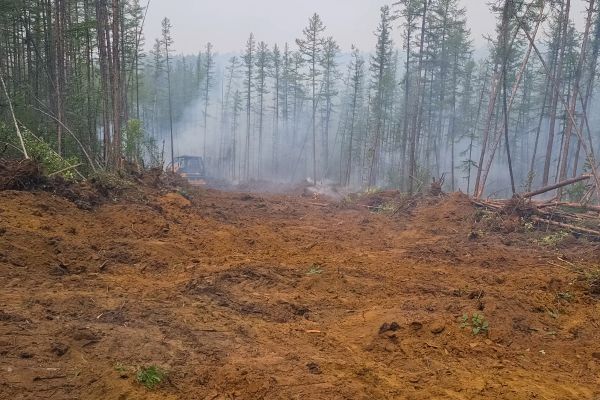 Cost of Hill Clearing in Frankfort